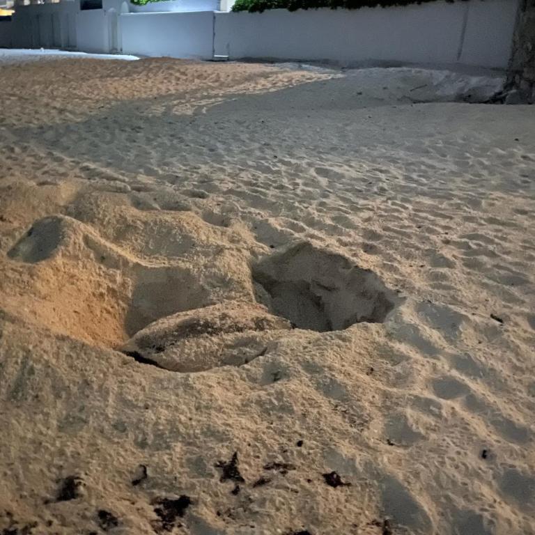 Beach, fun & relax at the Hotel Zone in Cancun - Studio with Balcony - 66
