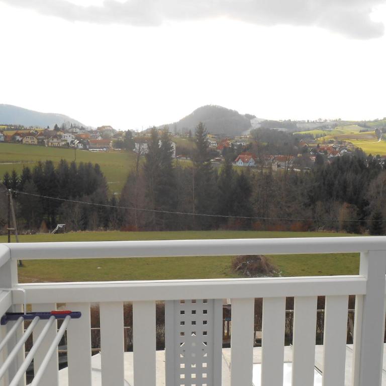 Privatzimmer Haus Gschweitl - Studio mit Balkon und Whirlpool-Badewanne - 29