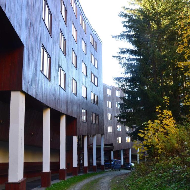 Studio 3 pers, proche pistes et commerces, Arc 1800, Les Arcs - FR-1-411-112 - Studio - 13