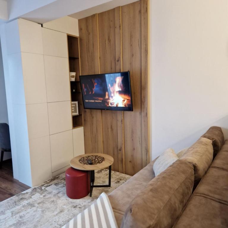 SkyKop Apartmani - Apartman sa 1 Spavaćom Sobom - 2