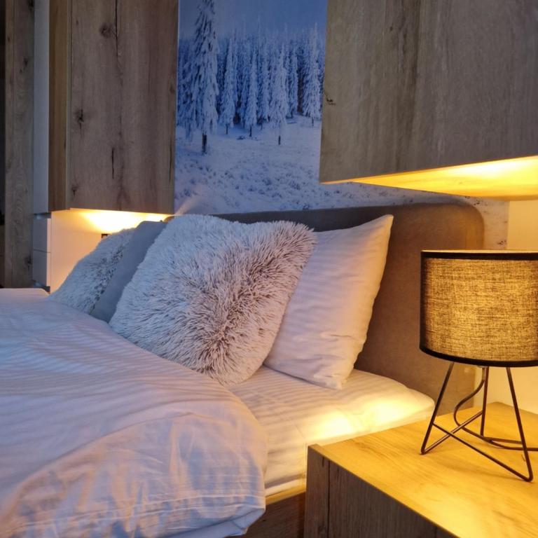 SkyKop Apartmani - Apartman sa 1 Spavaćom Sobom - 1