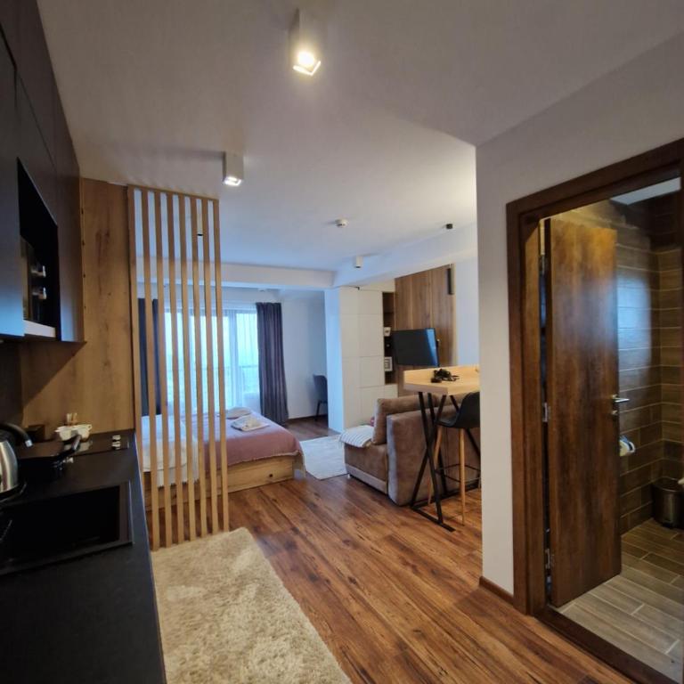 SkyKop Apartmani - Apartman sa 1 Spavaćom Sobom - 10