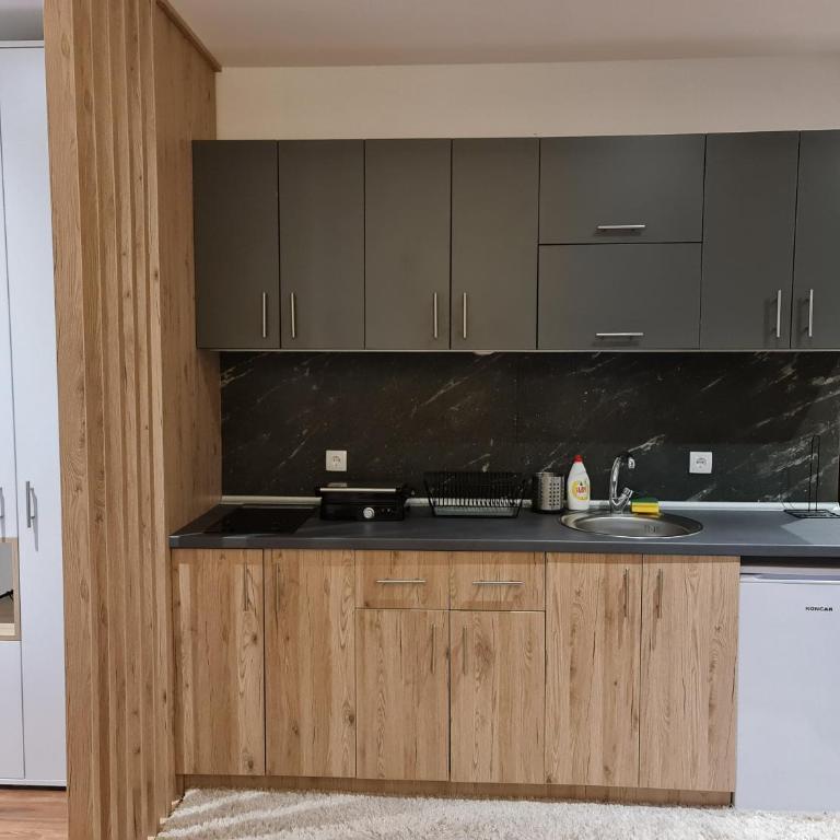 SkyKop Apartmani - Apartman sa 1 Spavaćom Sobom - 9