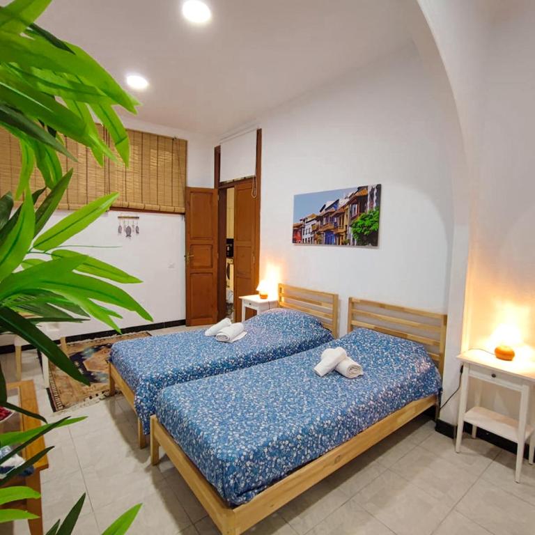 Alma Canaria Rooms - Habitación Doble Grande - 1 o 2 camas - 7