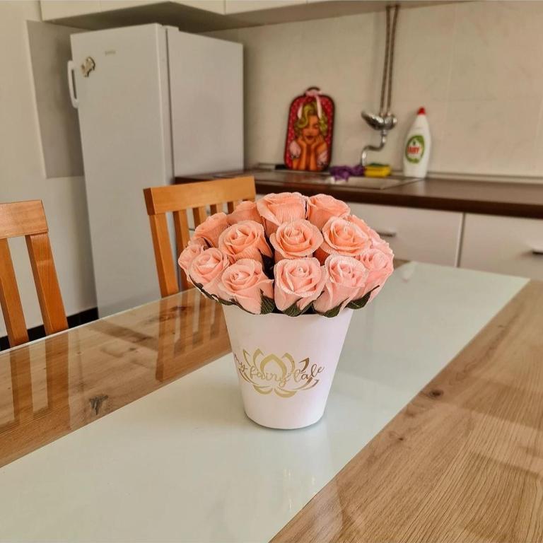 Apartman PETROVIC - Apartman sa 1 Spavaćom Sobom - 9