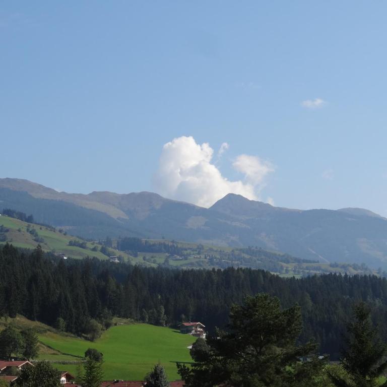 Pension Dorferwirt - Studio - auf 2 Ebenen - 4