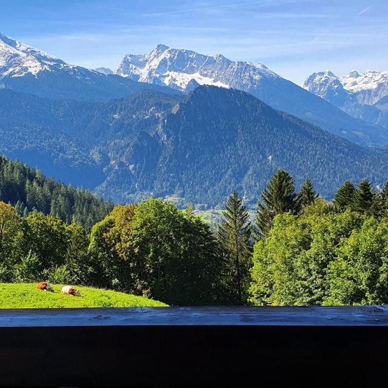 3 Bergpanorama und atenberaubende alpine Almlandschaft für absolute Nichtraucher - Apartment mit 1 Schlafzimmer - 11