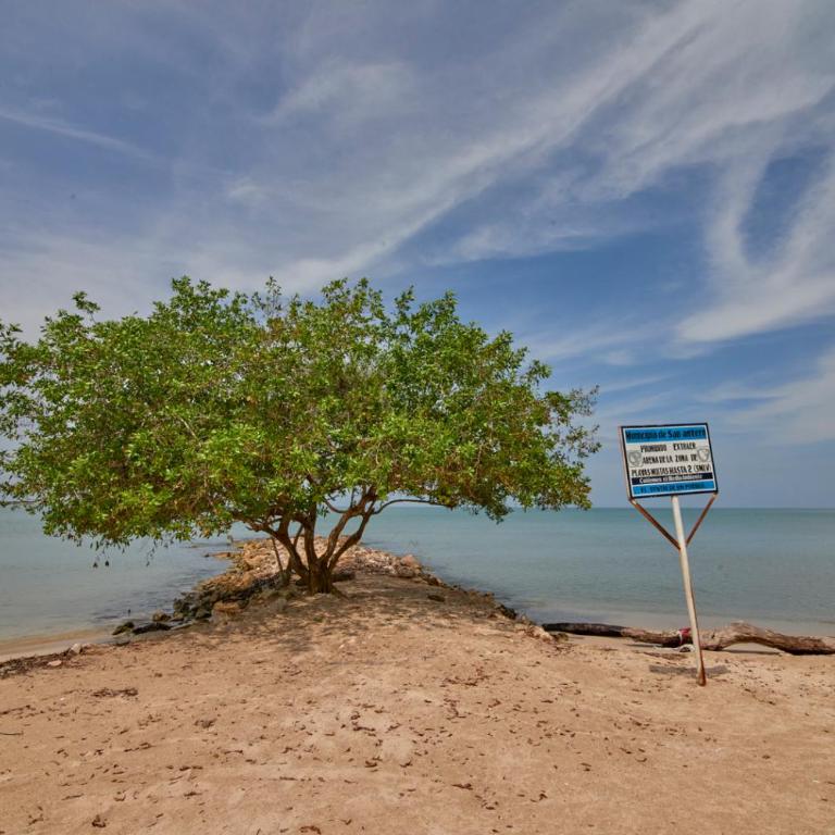 Cabaña Villa Alessandra - Casa - 38