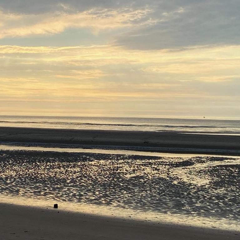Lumineux appartements à 100m plage - Apartment mit 2 Schlafzimmern - 1