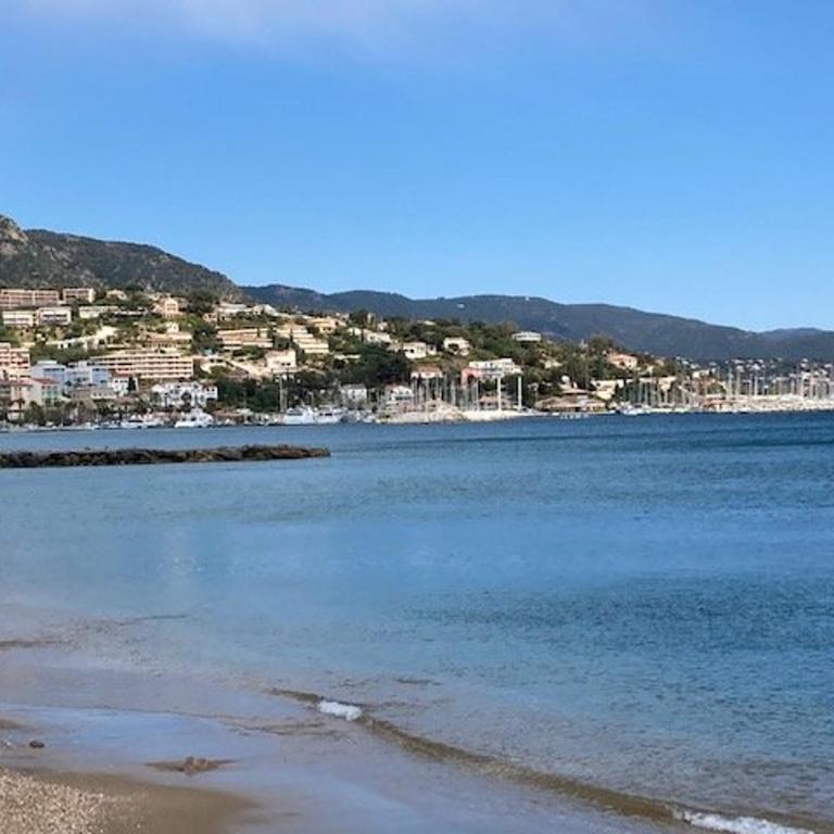 Charmant T2 au Lavandou, climatisé, à deux pas de la plage - FR-1-308-158 - Appartement - 5