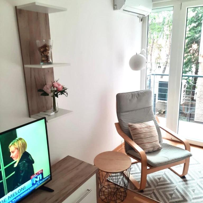 Alma Vracar - Apartman sa 1 Spavaćom Sobom - 11