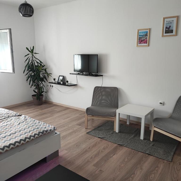 Studio Centar Surcin - Apartman sa 1 Spavaćom Sobom - 11