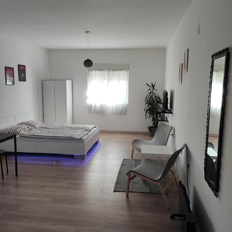 Studio Centar Surcin - Apartman sa 1 Spavaćom Sobom - 12