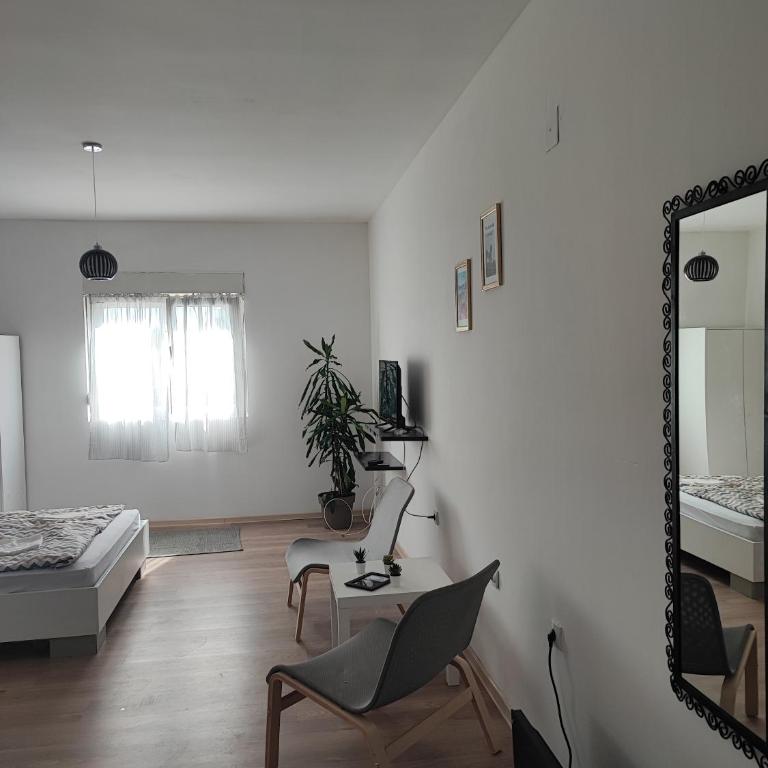 Studio Centar Surcin - Apartman sa 1 Spavaćom Sobom - 9