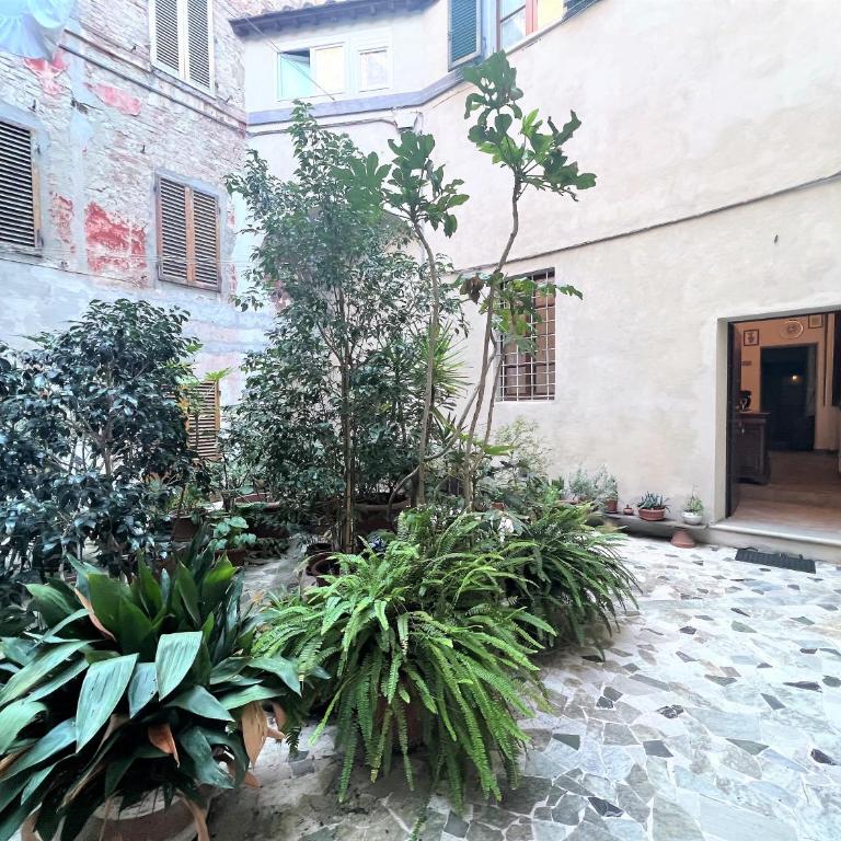 CASA CONTI-nearby Piazza Del Campo - Appartamento con 2 Camere da Letto - 1