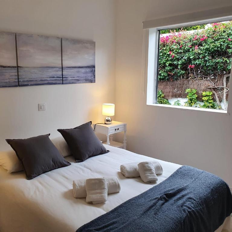 Cozy and intimate bungalow in Puerto de la Cruz - Casa con 1 dormitorio - 2