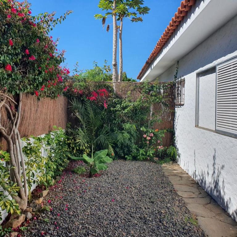 Cozy and intimate bungalow in Puerto de la Cruz - Casa con 1 dormitorio - 13