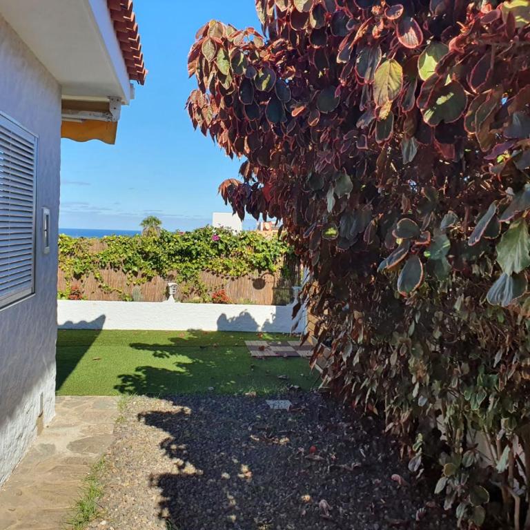 Cozy and intimate bungalow in Puerto de la Cruz - Casa con 1 dormitorio - 19