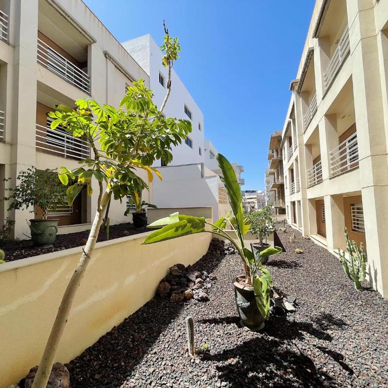 Marte - Apartamento de 1 dormitorio - 14