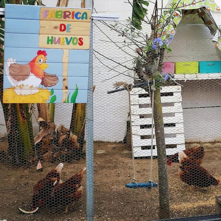 Chiclana El Principito - Casa de 2 dormitorios - 17