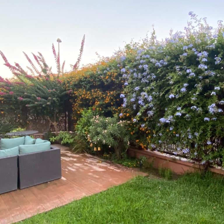 Apartamento jardin Sanlucar - Apartamento - 18