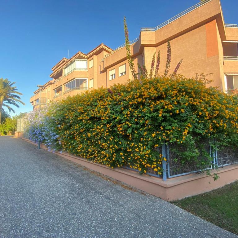 Apartamento jardin Sanlucar - Apartamento - 22