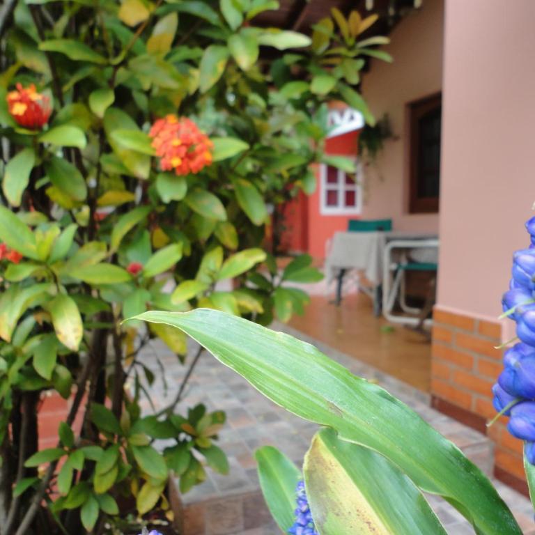 Hospedaje Ámbar - Two-Bedroom House ( 2-7 Adults) - 16