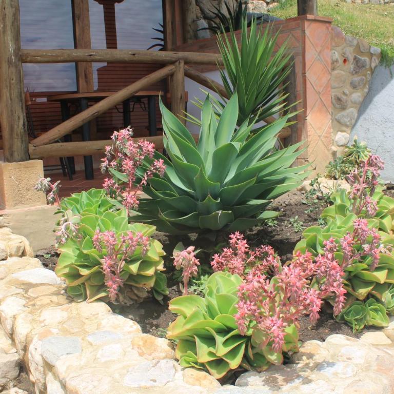 Hotel, Bungalows, Chalet y Cabañas Aventura Park Villa De Leyva La Periquera - Chalet Superior - 12