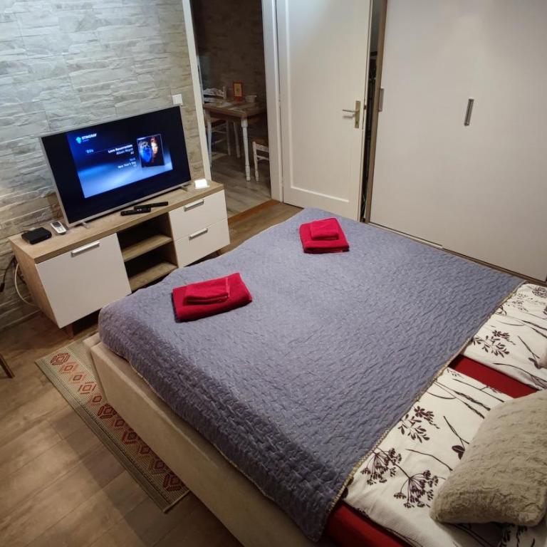 Cozy, Nice & Quiet apartment Lucky Sarajevo - Free public parking - Standardni Apartman - 11