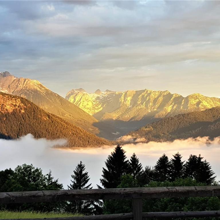 3 Bergpanorama und atenberaubende alpine Almlandschaft für absolute Nichtraucher - Apartment mit 1 Schlafzimmer - 14