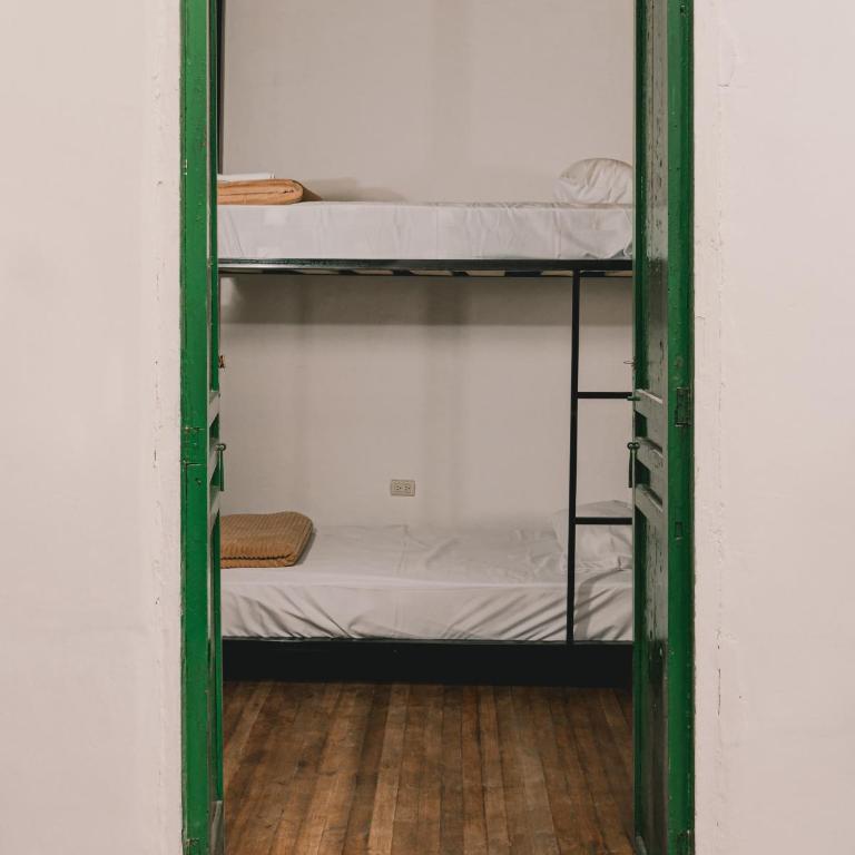 Wild Monkey Hostel - Cama en habitación compartida con 4 camas - 1