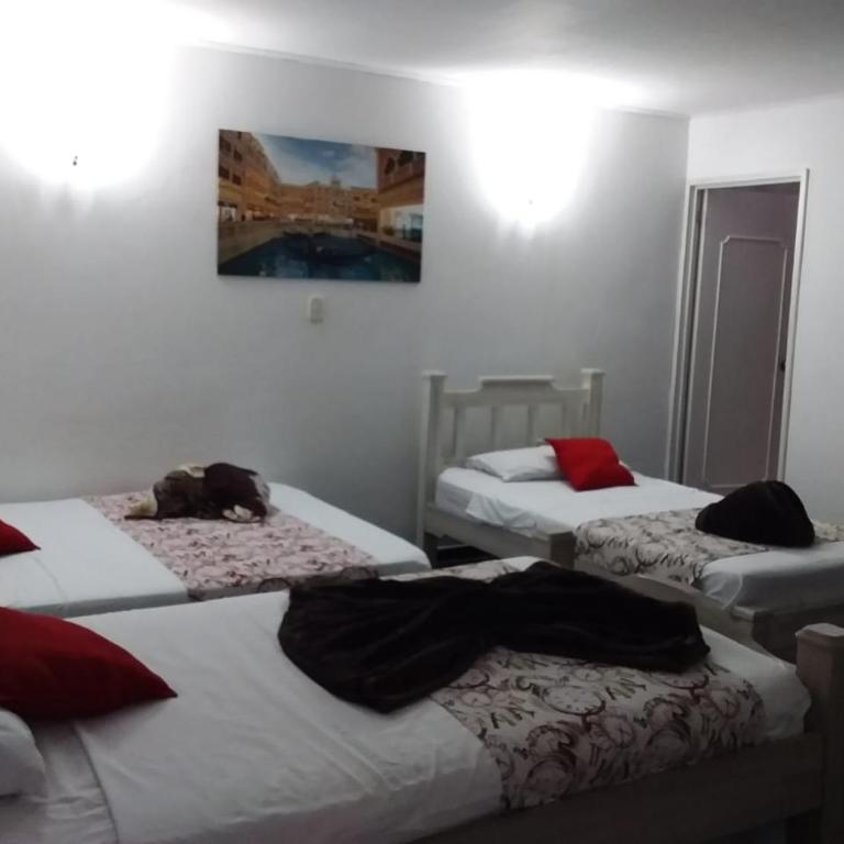 Hotel Campestre El Cortijo - Habitación Cuádruple Clásica - 3