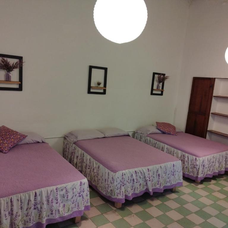 Lavanda Centro Histórico de Querétaro - One-Bedroom Apartment - 6