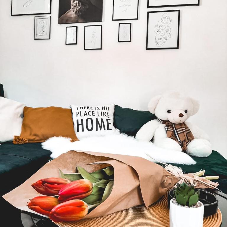 Apartman TRAG Divčibare - Studio sa Bračnim Krevetom (King-size) - 11