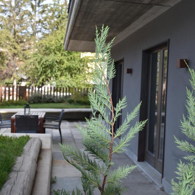 Residenza Du Parc - Appartamento Standard - 13