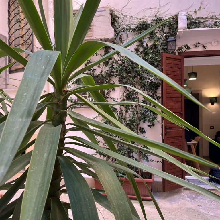 Kemonia Home Palermo - Appartamento - 34