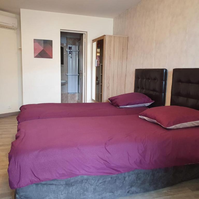 EDEN CAP : A delightful villa lodges 11 adults just one km away from Monte Carlo station - Villa - 17