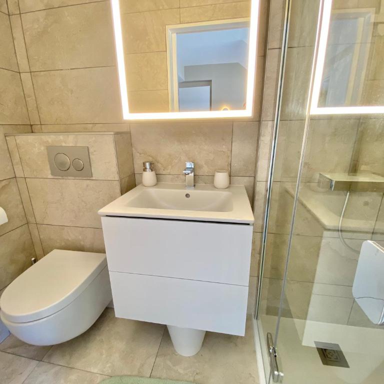 Vue Lac Imprenable et Calme Absolu en Hypercentre Garage Clim Wifi - Apartment mit 1 Schlafzimmer - 13