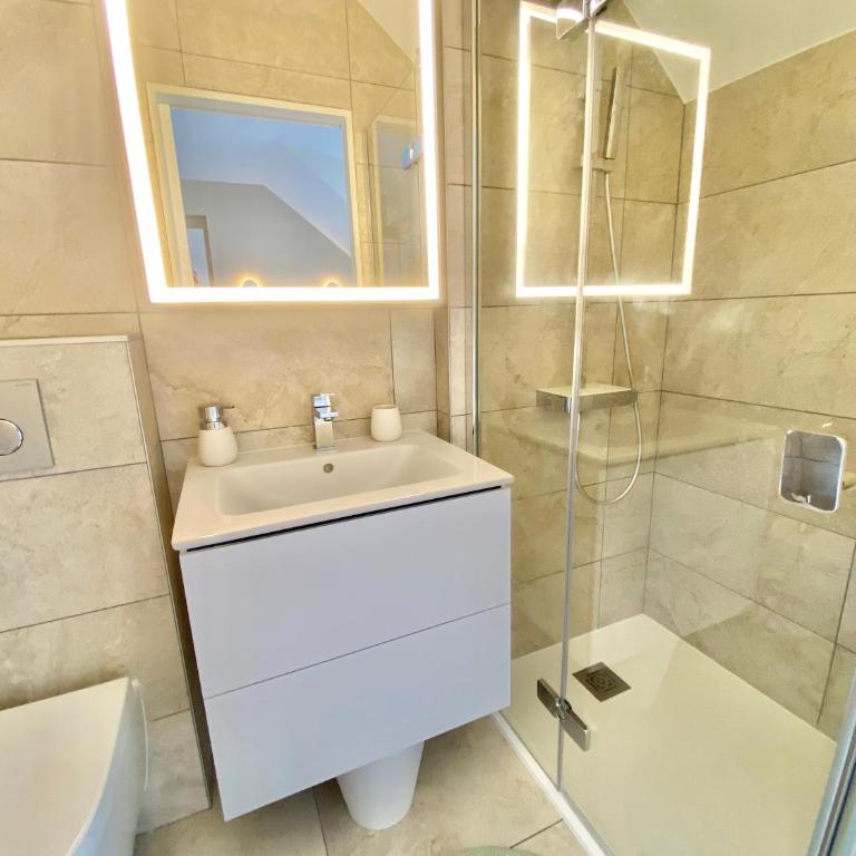Vue Lac Imprenable et Calme Absolu en Hypercentre Garage Clim Wifi - Apartment mit 1 Schlafzimmer - 14