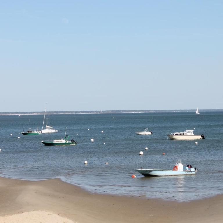 Entre dune et plage Les Jacquets Cap Ferret - Appartement 1 Chambre - 20