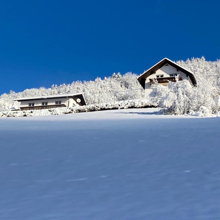 Nocky Mountains Lodge and Apartment - Ferienhaus - 30