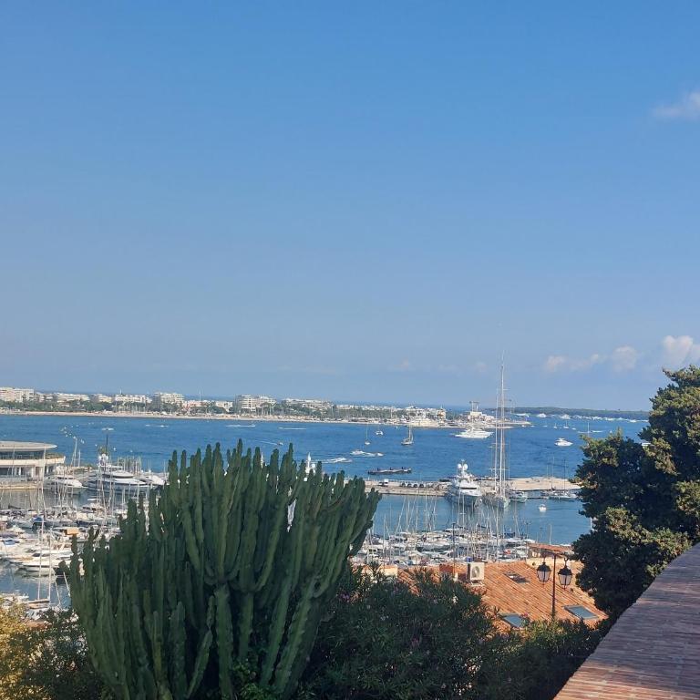 Place du Suquet - In the hart of old Cannes - 2 Min Walking distance from Palais de Festivals and Beaches - Apartment mit 2 Schlafzimmern - 36