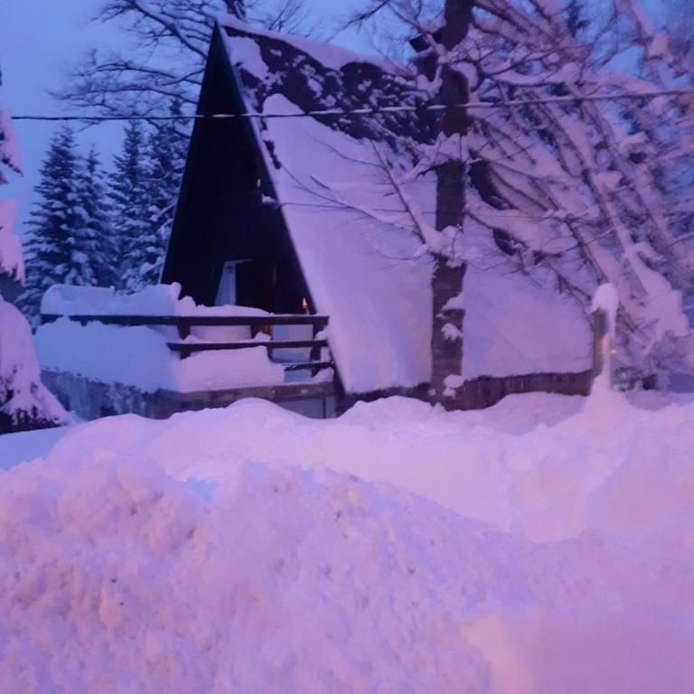Vikendica Vedran Jahorina - Two-Bedroom House - 15