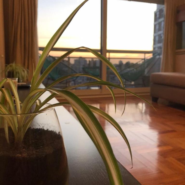 Departamento ROMA 3 Ambientes - Apartamento de 2 dormitorios - 1
