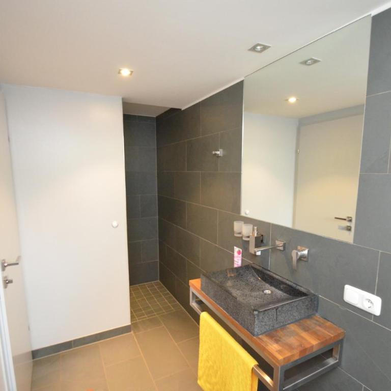 Apartmenthouse 5 Seasons - incl SUMMER CARD by All in One Apartments - Top 1 - Apartment mit 1 Schlafzimmer und Terrasse - 2