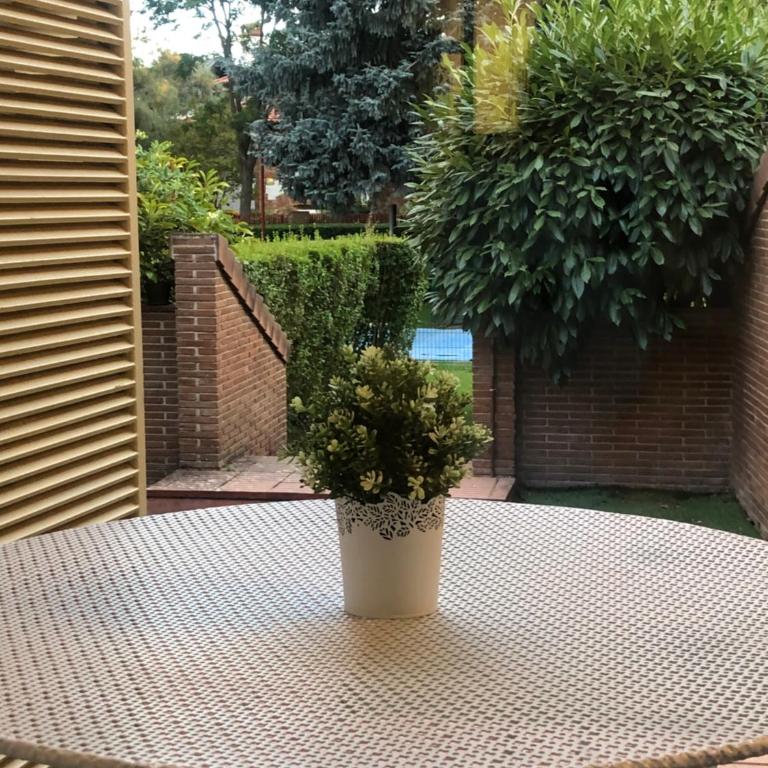 Alojamientos Castellana Jardín 1 y 2 PARKING Y PISCINA GRATIS!! - CASTELLANA JARDIN II. PLANTA BAJA - 12