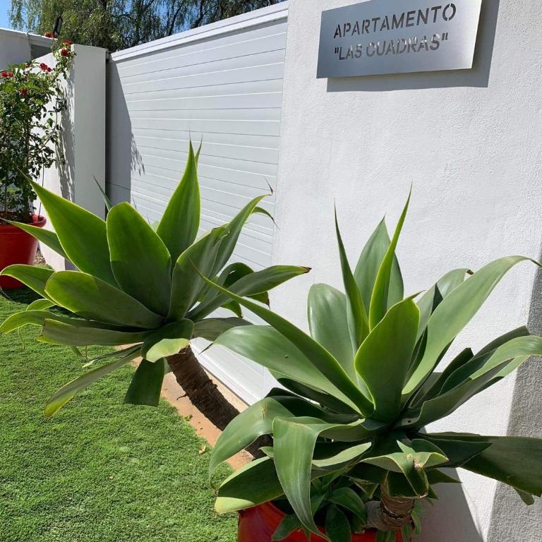 Apartamento “Las Cuadras “ - Casa de 2 dormitorios - 15