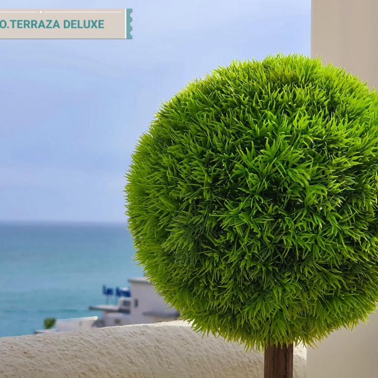 Benal-beach Marina Deluxe - Premium Deluxe Terrace Apartment - 35