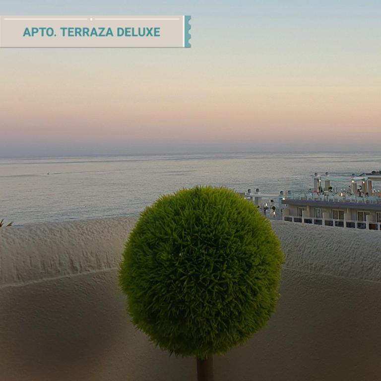 Benal-beach Marina Deluxe - Premium Deluxe Terrace Apartment - 29