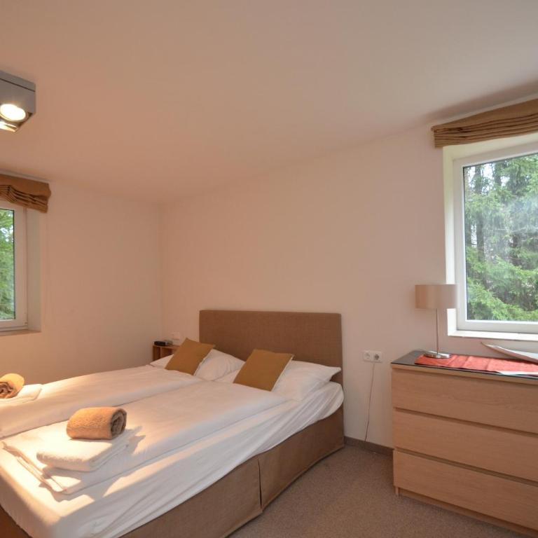 Apartmenthouse 5 Seasons - incl SUMMER CARD by All in One Apartments - Top 3 - Großes Apartment mit 1 Schlafzimmer, Balkon und Bergblick - 1